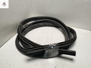 уплотнитель двери Renault Scenic 3 поколение 2010, 1.5 л., дизель, МКПП, серый, минивэн