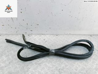 уплотнитель двери Citroen C8 1 поколение 2003, 2.2 л., дизель, МКПП, зелёный, минивэн