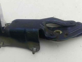 петля капота правая Renault Scenic 2 поколение 2003, синий, минивэн