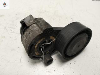 механизм натяжения ремня, цепи Renault Megane 2 поколение 2003, 1.6 л., бензин, МКПП, серый, хетчбэк 5 дв., 8200048486