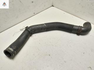 патрубок радиатора Renault Laguna 2 поколение [рестайлинг] 2005, 2.0 л., бензин