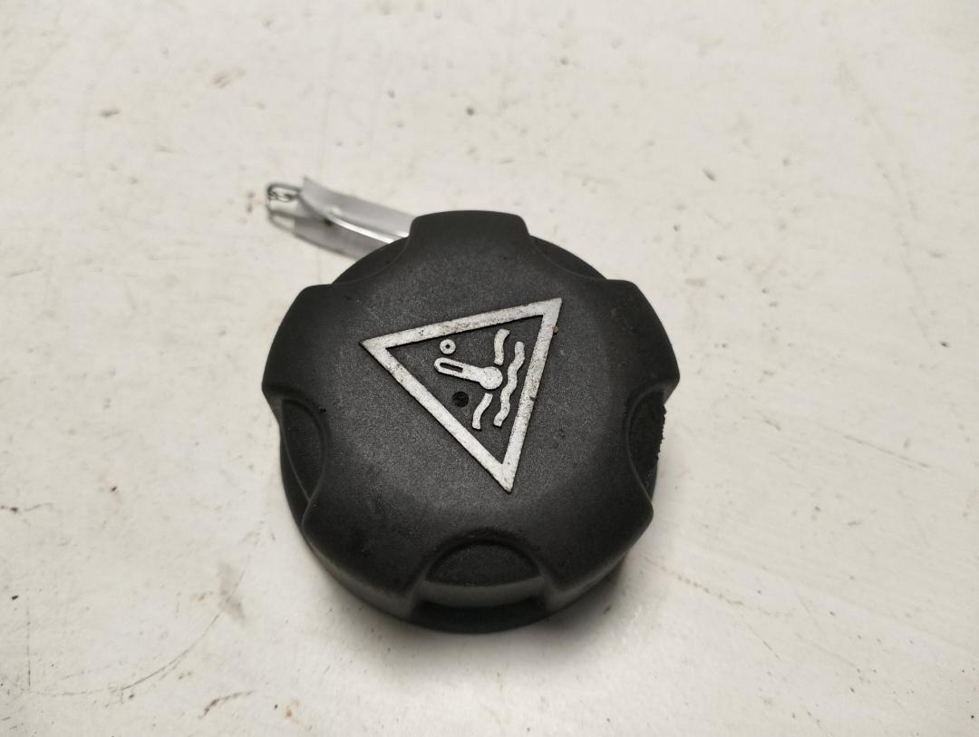 пробка расширительного бачка Renault Scenic I 2002, 1.6 л., бензин, МКПП, серый, минивэн