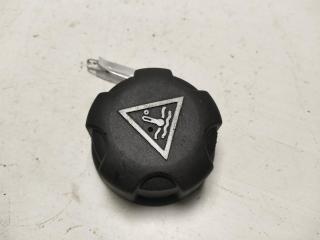 пробка расширительного бачка Renault Scenic I 2002, 1.6 л., бензин, МКПП, серый, минивэн