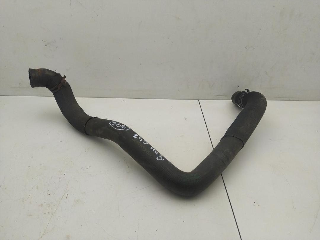 патрубок радиатора Mercedes-Benz B W245 2005, 1.5 л., бензин, 1695010182