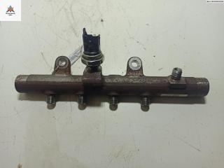 топливная рампа Renault Megane 3 поколение [2-й рестайлинг] 2013, 1.5 л., дизель, МКПП, серый, хетчбэк 5 дв., 8201225030, 175218188R