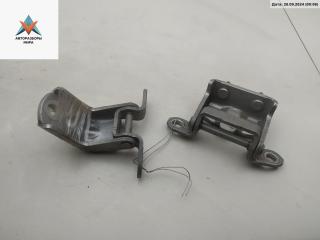 петля двери Renault Koleos 1 поколение 2008, серый, внедорожник 5 дв.