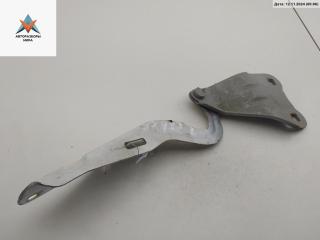 петля капота левая Renault Twingo 2 поколение 2008, синий, хетчбэк 3 дв.