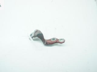 петля двери Ford Focus 2 поколение [рестайлинг] 2007, красный, универсал