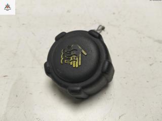 пробка расширительного бачка Renault Laguna 2 поколение 2002, 2.0 л., бензин, АКПП, серый, хетчбэк 5 дв., 8200048024
