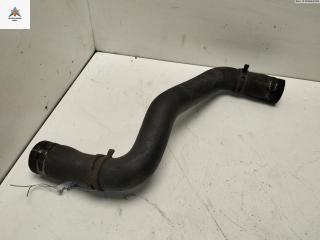 патрубок радиатора Renault Scenic 1 поколение [рестайлинг] 2002, 1.6 л., бензин