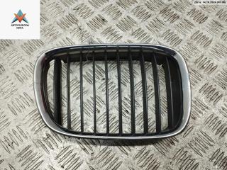 решетка радиатора BMW 5 серия E39 [рестайлинг] 2000, синий, седан, 8159312