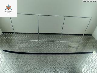 молдинг крыши Renault Scenic 2 поколение 2004, 2.0 л., бензин, МКПП, синий, минивэн, 8200141512