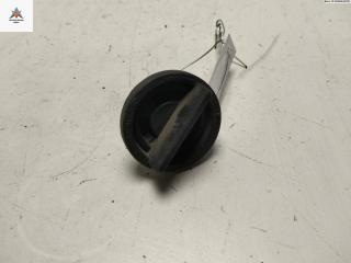 Патрон лампы указателя поворота Renault Scenic 2 поколение [рестайлинг] 2007, 1.9 л., дизель, МКПП, чёрный, минивэн, 156201-01