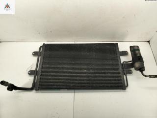 радиатор кондиционера Volkswagen Golf 4 поколение 1998, 1.4 л., бензин, МКПП, красный, хетчбэк 5 дв., 1J0820411D