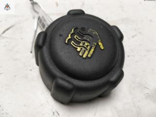 пробка расширительного бачка Renault Laguna 2 поколение [рестайлинг] 2006, 2.0 л., бензин, МКПП, зелёный, универсал, 8200048024