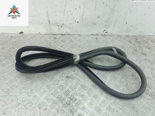 уплотнитель двери Peugeot 508 1 поколение 2011, 1.6 л., дизель, АКПП, серый, седан