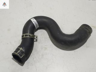 патрубок радиатора Citroen Berlingo 1 поколение (M49) 2002, 1.6 л., бензин, 05125