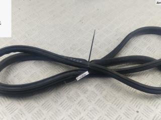 уплотнитель двери Renault Scenic 3 поколение 2010, 1.5 л., дизель, МКПП, красный, минивэн