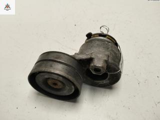 механизм натяжения ремня, цепи Renault Vel Satis 1 поколение [рестайлинг] 2005, 2.0 л., бензин, МКПП, синий, хетчбэк 5 дв., 117507271R