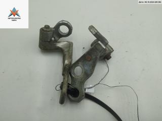 петля двери Ford Focus 2 поколение 2005, серый, универсал, 3M51R22810AHC