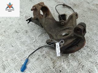 ступица передняя правая Peugeot 206 1 поколение [рестайлинг] 2004, 1.6 л., дизель, МКПП, серый, хетчбэк 3 дв., KULAK, 0000330785, 9658745180, 0000364776