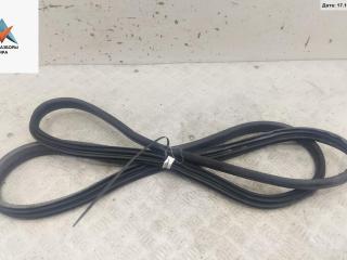 уплотнитель двери Renault Scenic 3 поколение 2010, 1.5 л., дизель, МКПП, чёрный, минивэн