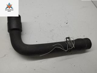 патрубок радиатора Audi A4 B5 1997, 1.6 л., бензин, 8D0121101K