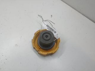 пробка расширительного бачка Opel Zafira B 2005, 2.2 л., бензин, МКПП, серый, минивэн, 9202799, 8715350