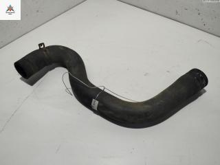 патрубок радиатора Peugeot 206 1 поколение [рестайлинг] 2004, 1.6 л., бензин, 211625