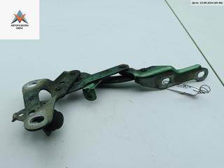 петля капота правая Volkswagen Sharan 1 поколение [рестайлинг] 2000, зелёный, минивэн, 7MO823301L