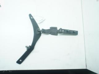 петля крышки багажника Ford Kuga 1 поколение 2009, синий, внедорожник 5 дв., 8V41S42901AE