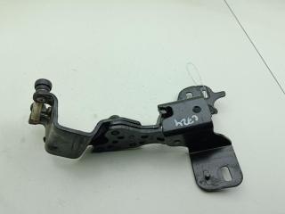 петля двери Ford B-max 1 поколение 2014, синий, минивэн, AV11R250A69AE