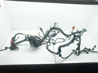 проводка двигателя Ford B-max 1 поколение 2013, 1.0 л., бензин, МКПП, красный, минивэн