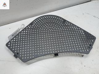 Сетка (решетка) динамика Opel Astra F [рестайлинг] 1996, 1.6 л., бензин, АКПП, красный, хетчбэк 5 дв., 1818197