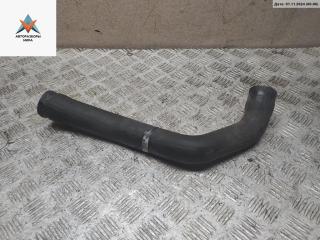 патрубок радиатора BMW 5 серия E39 1997, 2.5 л., бензин, 1740481