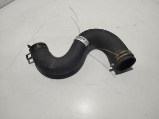 патрубок радиатора Peugeot 206 2004, 1.6 л., бензин