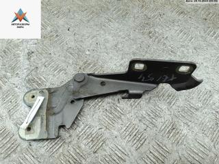 петля капота левая Renault Laguna 2 поколение 2004, серый, универсал, 418248J