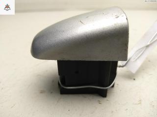 Колпачок (заглушка) ручки двери Peugeot 208 1 поколение 2013, 1.4 л., дизель, МКПП, серый, хетчбэк 5 дв., 9684522477