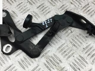 петля капота левая Volkswagen Sharan 1 поколение 1997, зелёный, минивэн, 7M0823301L