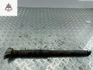 амортизатор задний правый Ford Focus 2 поколение 2005, 1.6 л., i, бензин, МКПП, серый, хетчбэк 3 дв.