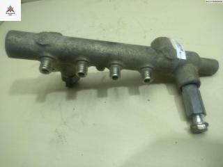 топливная рампа Opel Combo 3 поколение (C) [рестайлинг] 2008, 1.7 л., дизель, МКПП, синий, фургон, 349190181