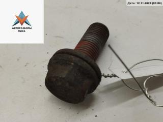 Болт крепления Audi A6 4B/C5 [рестайлинг] 2002, 1.9 л., дизель, МКПП, серый, универсал