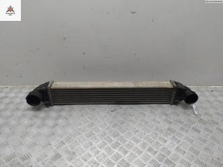 радиатор интеркулера Mercedes-Benz A-Класс W169 2004, 2.0 л., дизель, МКПП, серый, хетчбэк 5 дв., 1695000000