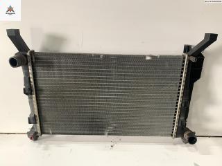 радиатор охлаждения Mercedes-Benz A-Класс W169 2005, 1.5 л., бензин, МКПП, серый, хетчбэк 5 дв., 1695000303