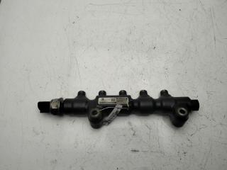 топливная рампа Peugeot 206 2006, 1.4 л., дизель, МКПП, синий, универсал, 9654592680