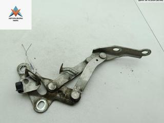 петля капота левая Ford Galaxy 1 поколение [рестайлинг] 2000, серый, минивэн, 7MO823301L