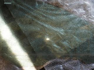 стекло двери передней правой Ford Focus 1 поколение [рестайлинг] 2003, 1.8 л., дизель, МКПП, серый, универсал, AS2