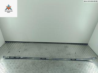 молдинг крыши Renault Scenic 2 поколение 2004, 2.0 л., бензин, МКПП, серый, минивэн