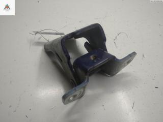 петля двери Ford Windstar 2 поколение 2000, синий, минивэн