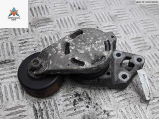 механизм натяжения ремня, цепи Skoda Fabia 1 поколение (6Y) [рестайлинг] 2005, 1.4 л., дизель, МКПП, серый, хетчбэк 5 дв., AMF